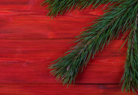 fir branch on a red wooden texture background