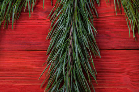 fir branch on a red wooden texture backgroundの写真素材