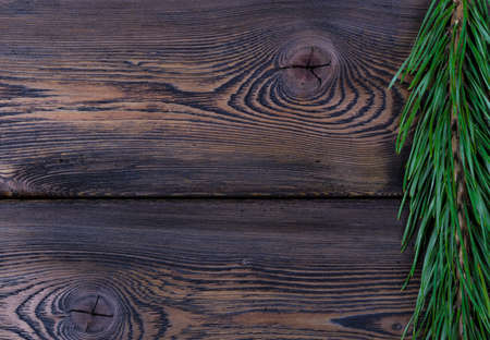fir branch on a gray wooden texture background
