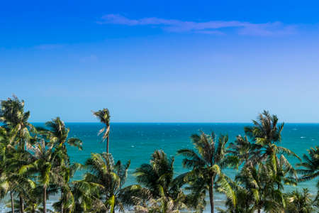 Panoramic view of Exotic Palm trees and blue oceanの写真素材