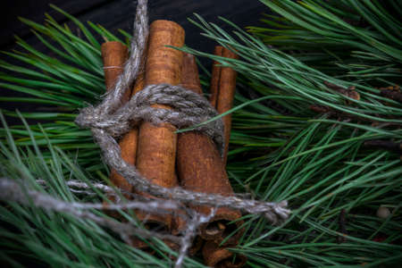 Christmas decoration with evergreen fir tree and cinnamonの写真素材