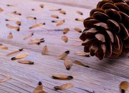 bump on a white wooden background texture, close upの写真素材