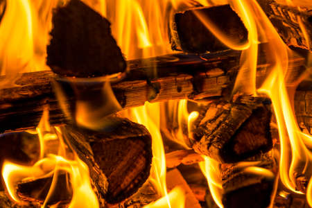 Burning firewood in the BBQ fireplace close up, background