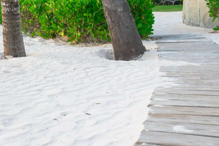 A wooden pathway on the tropical ocean beach with white sandの写真素材
