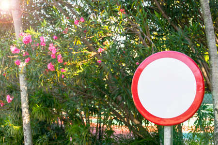 blank round sign in tropical forest  with space for text, empty spaceの写真素材