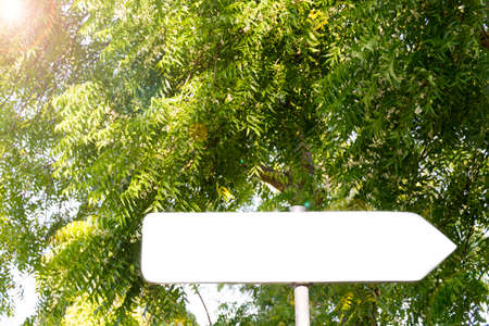 blank arrow sign in tropical forest  with space for text, empty spaceの写真素材