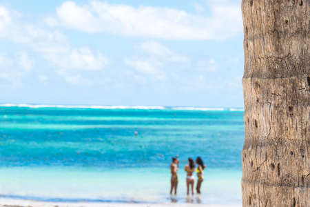 close up of a palm trunk, turquoise ocean and sexy bikini girls backgroundの写真素材