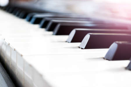 Side view of piano keys. Close-up of piano keys. Close frontal view. Piano keyboard with selective focus. Diagonal view. Piano keyboard perspective. Soft lightingの写真素材