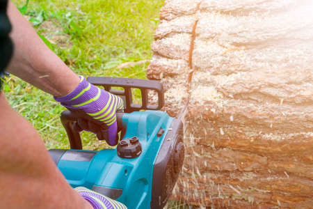 Chainsaw. Chainsaw in move cutting wood. Man cutting wood with saw. Dust and movements. Close-up of...