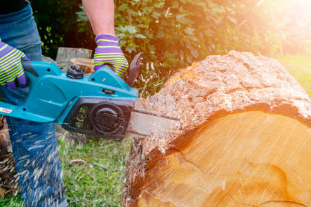 Chainsaw. Chainsaw in move cutting wood. Man cutting wood with saw. Dust and movements. Close-up of...