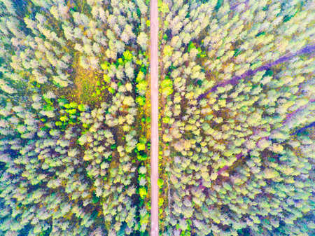 Aerial view of a country road in the forest. Beautiful landscape. Captured from above with a drone....