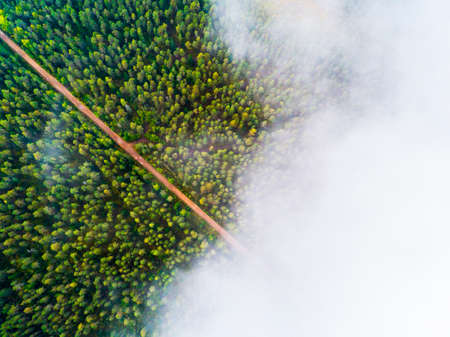 Aerial view of a country road in the forest. Beautiful landscape. Clouds over the green forest and...