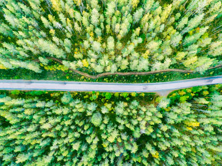 Aerial view of a country road in the forest. Beautiful landscape. Clouds over the green forest and...