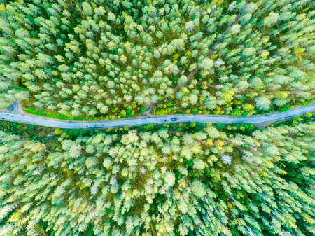Aerial view of a country road in the forest with moving cars. Beautiful landscape. Captured from above with a drone. Aerial bird's eye road with car. Aerial top view forest. Texture of forest view from above.の写真素材