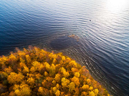 Aerial view over forest during vibrant autumn colors. Aerial view of seashore with stone. Coastline...