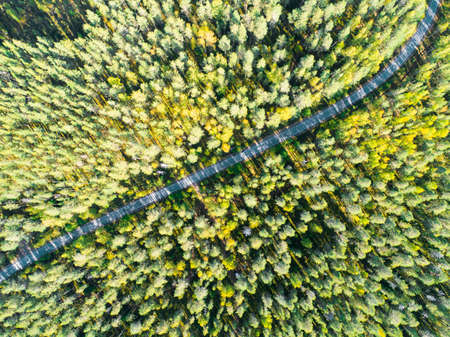 Aerial view of a country road in the forest with moving cars. Landscape. Captured from above with a drone. Aerial bird's eye road with car. Aerial top view forest. Texture of forest view from above.の写真素材