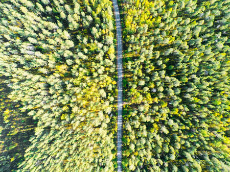 Aerial view of a country road in the forest with moving cars. Landscape. Captured from above with a...
