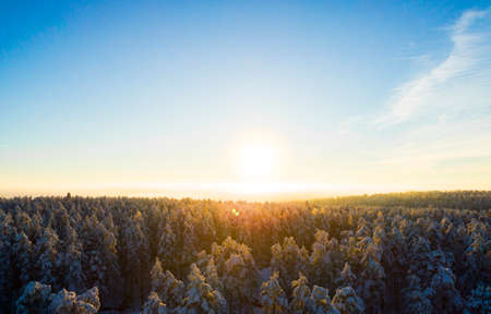 Aerial view of a gold sunset over winter snow-covered pine forest. Winter forest texture. Aerial...