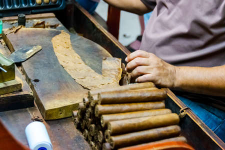Traditional manufacture of cigars at the tobacco factory. Closeup of old hands making a cigar from tobacco leaves in a traditional cigar manufacture. Close up of hands making a cigar from tobacco leaves.の写真素材
