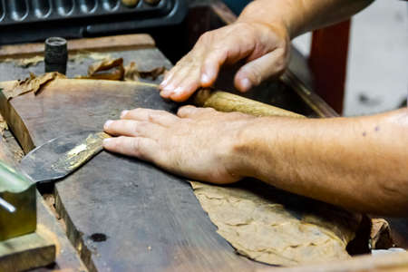 Traditional manufacture of cigars at the tobacco factory. Closeup of old hands making a cigar from tobacco leaves in a traditional cigar manufacture. Close up of hands making a cigar from tobacco leaves.の写真素材