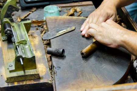 Traditional manufacture of cigars at the tobacco factory. Closeup of old hands making a cigar from...