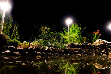 Garden pond at night. Illuminated pond shore in a night. Garden fish pond. Garden pond on natural landscape. Water garden natural pool. Exterior of a private garden. Pool with rocksの写真素材
