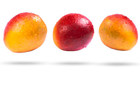 Mango fruit with water drops isolated on white background.  Mango isolated on a white background with clipping path. Fruit isolated on white. Ripe mango fruit isolated.の写真素材