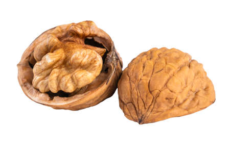 Walnut on the white background. Close up shot of whole walnut isolated on white background. Single...
