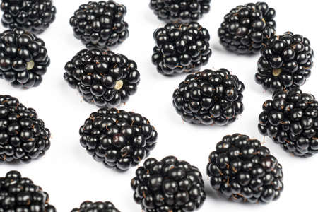 Blackberries background. Blackberry fruits isolated over white background  Macro shot fresh juicy...