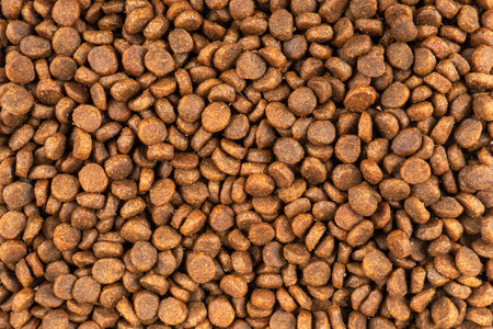 Dry pet food texture background. Food for cats and dogs pattern. Pile of granulated animal feeds. Granules of good nutrition for dogs and catsの写真素材