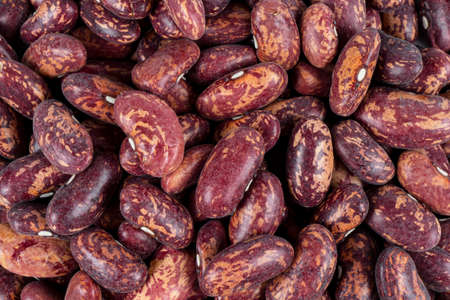 Macro shot heap of red fresh beans background. Red beans pattern. Grains Red bean seeds background...