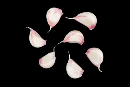 Garlic isolated. Isolated garlic on black background with clipping path. Whole fresh garlic. Fresh peeled garlic cloves, bulb with garlic slicesの写真素材