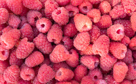 Raspberries close up. Sweet raspberry. Raspberry texture background. Top view of heap of raspberry...