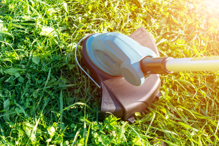 Cut the lawn. Mowing lawns. Lawn mower on green grass. Cordless mower grass equipment. Garden care...