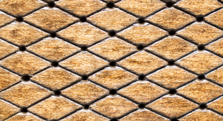 Old wood background texture. Wood surface pattern