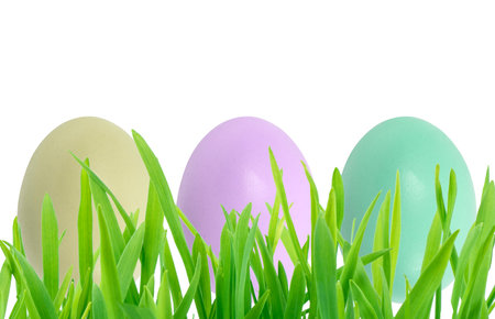 Easter eggs over green grass isolated on white background. Rainbow colored Easter eggs isolated. Group of easter eggs in a row.の写真素材