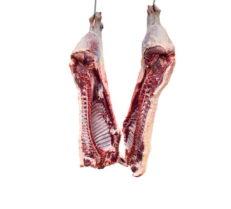 Meat industry. Beef meat hanging. Cattles cut and hanged on hook in a slaughterhouse isolated on a white background. Fresh lamb and raw meat. Ð¡ow carcass isolated.の写真素材