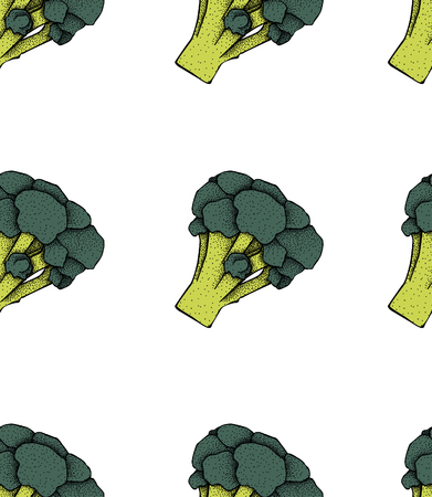 Broccoli pattern. Broccoli organic food photo-realistic vector illustration of healthy vegetable.のイラスト素材