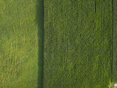 green field. the view from the top