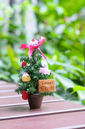Small Christmas treeの写真素材
