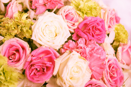 Pink rosesの写真素材