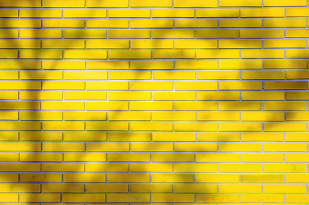 Tree Shadow on yellow Color Grunge brick wall background