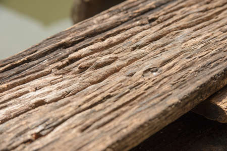 Old cracked wood grain texture backgroundの写真素材