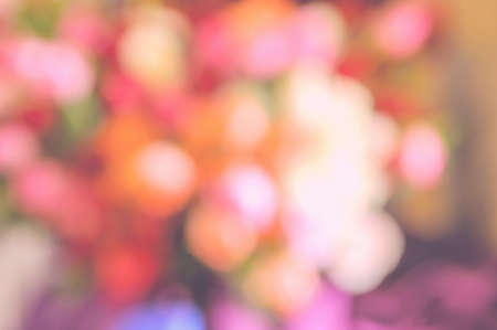 abstract blurred flower backgroundの写真素材