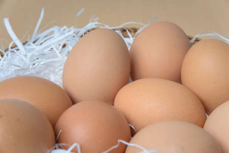 Eggs