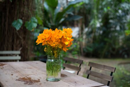 Beautiful flowers in vaseの写真素材