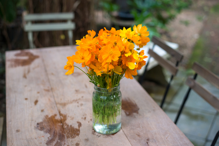 Beautiful flowers in vaseの写真素材
