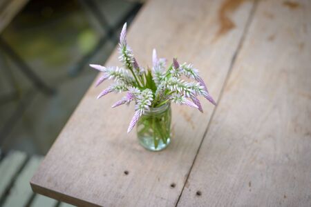 Cockscomb flowers in glass vase on wooden tableの写真素材