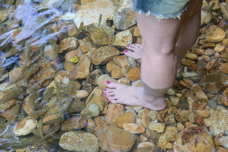 Women foot in nature waterの写真素材