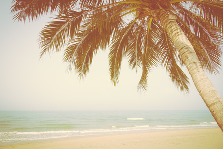 Tropical beach with coconut palm at summer timeの写真素材